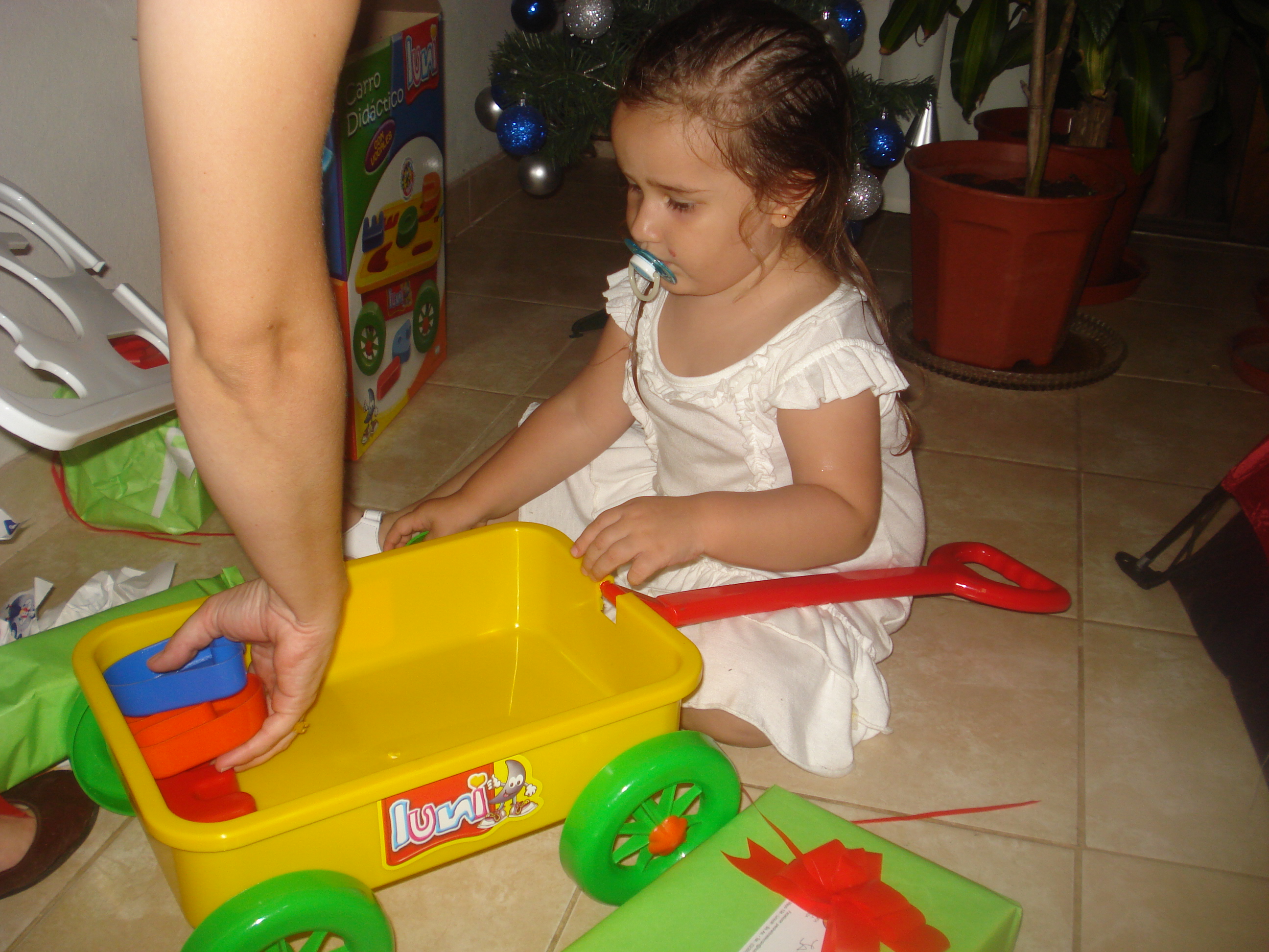 fotos/2012-12-24 - Navidad y pileta/DSC05093.JPG